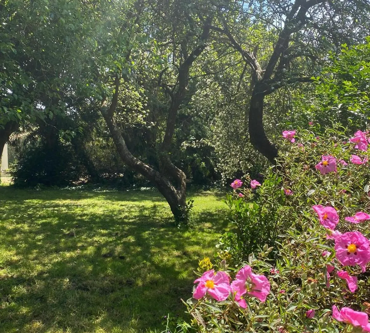 Charme, Calme Et Authenticite Cote Des Legendes Villa Plouider Holiday home